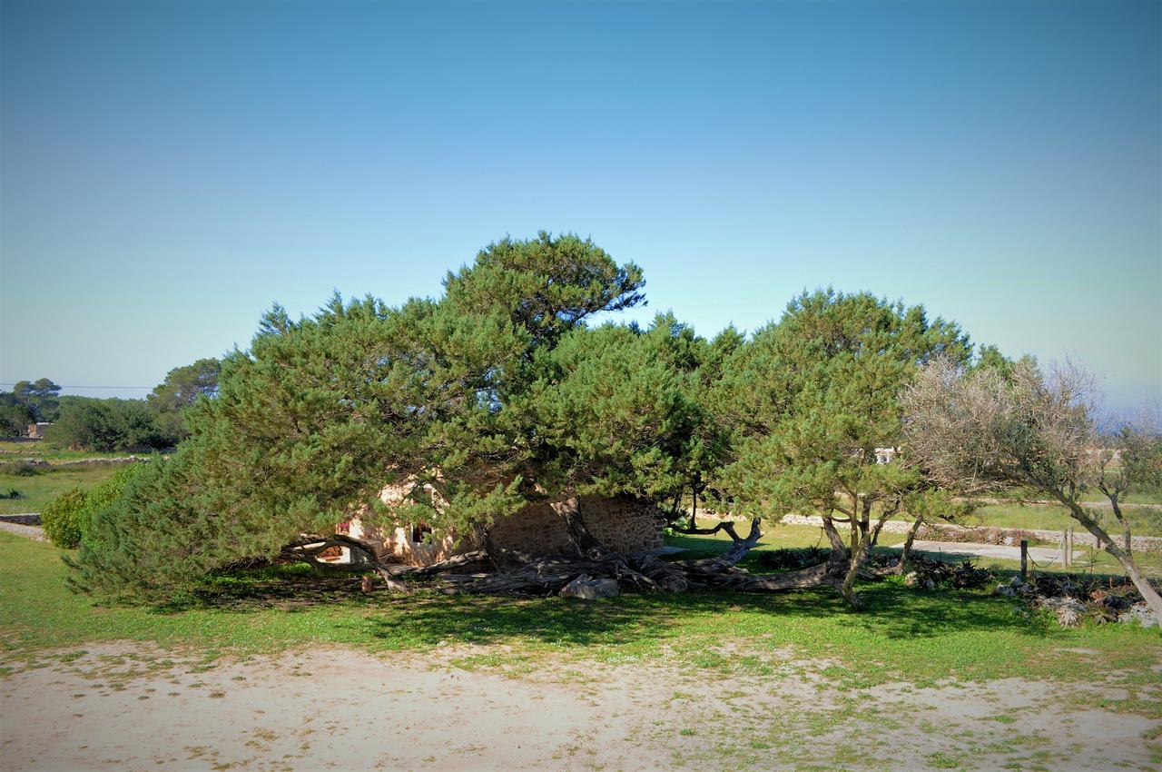 Вилла Siamoformentera Bella San Francisco Javier Экстерьер фото
